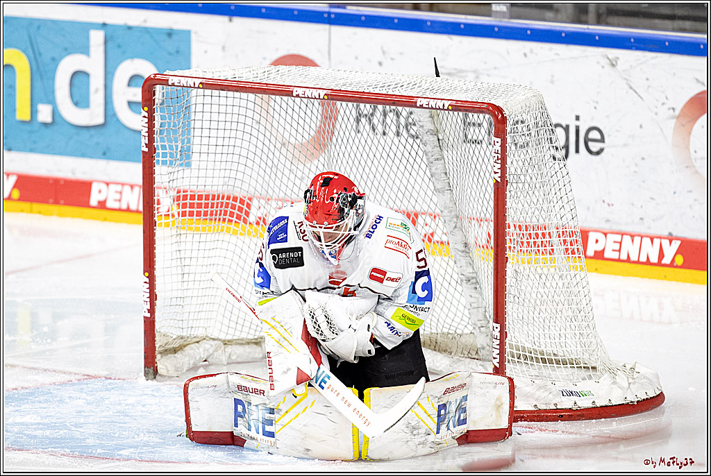 PENNY DEL;  Koelner Haie - Fischtown Pinguins Bremerhaven; Koeln, 03.01.2022